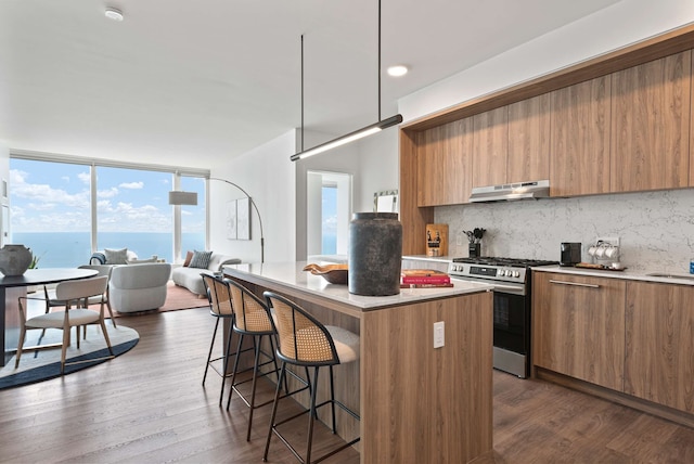 60 Fl Lake View Apt An Urban Oasis in the Sky