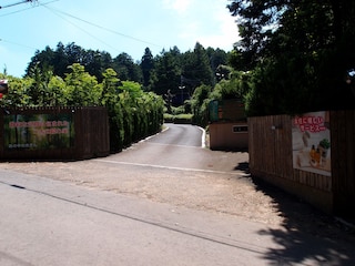 森の中のホテル