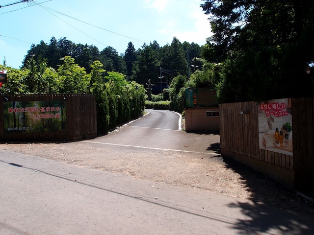 森の中のホテル