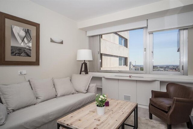 コロン 901 イン マドリッド ウィズ 1 ベッドルームズ アンド 1 バスルームズ