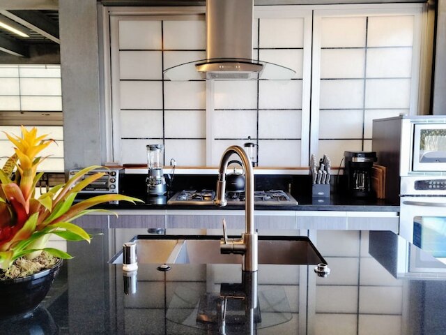 Venice Beach The Steel Rose Compound