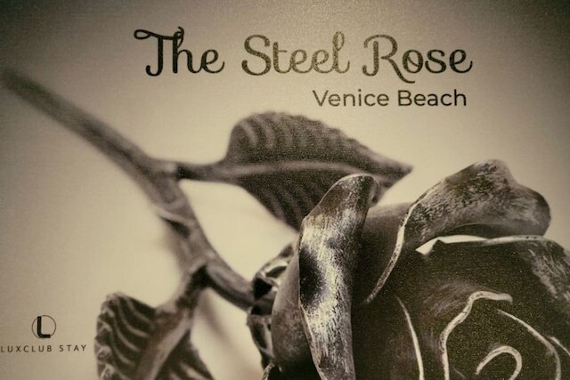 Venice Beach The Steel Rose Flat
