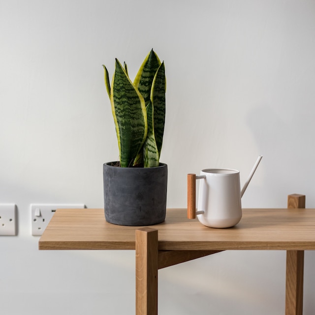 カーム レスター スクエア 1 ベッドルーム - ネットフリックス ネスプレッソ