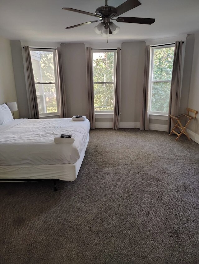 アベニュー サウス セリーン