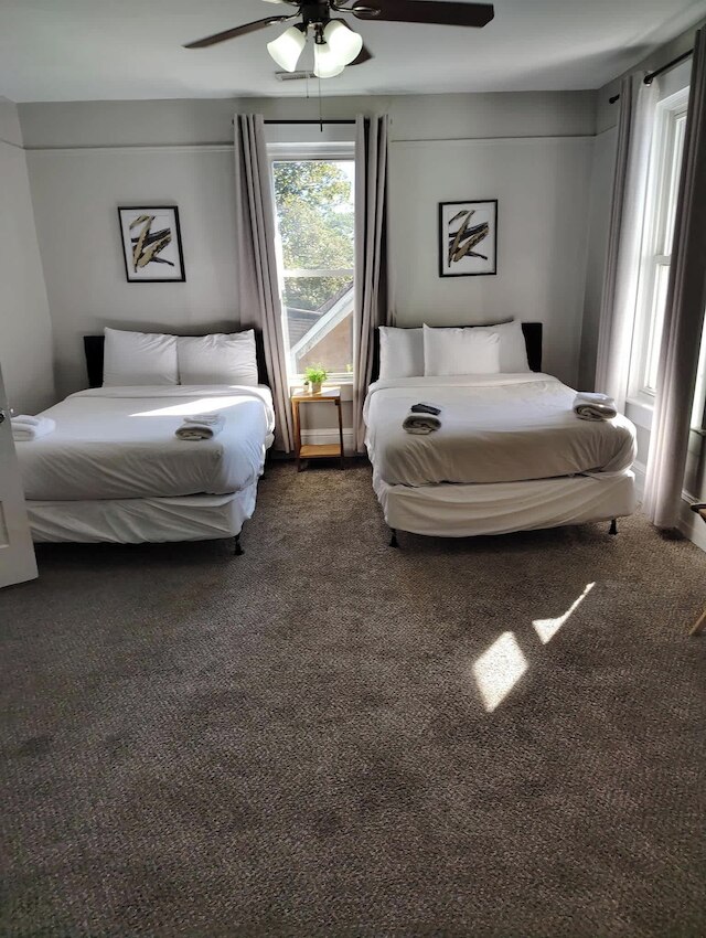 アベニュー サウス セリーン