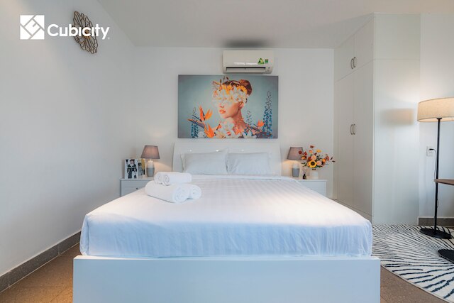 Cubicity Metro House