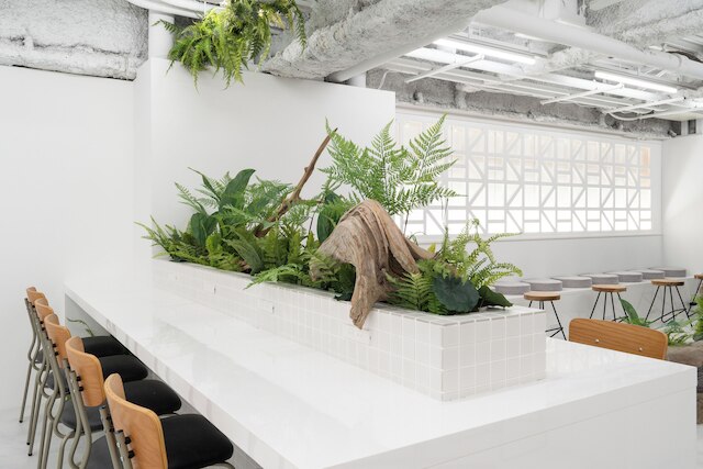 ZONE SHINSAIBASHI WEST