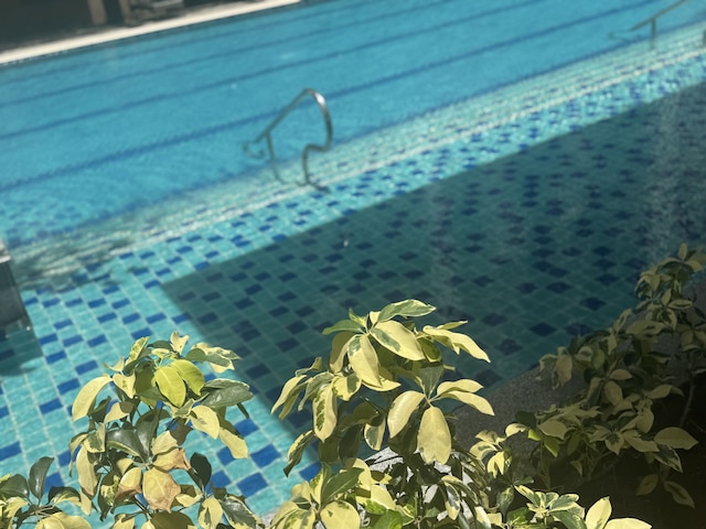 Levi & Moon's Chill with beautiful view