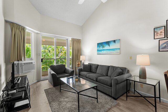 マウイ バニアン A-202