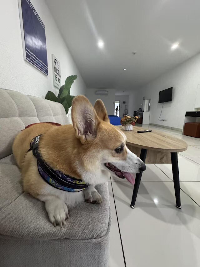 モナリサ パラダイス