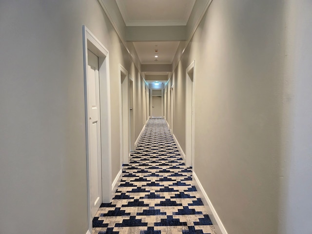 リバービュー ホテル テンピ