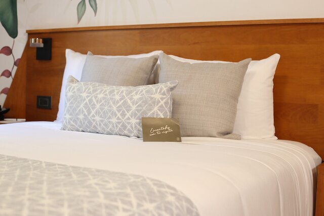 オテル ブティック カサ フロール デ カフェ