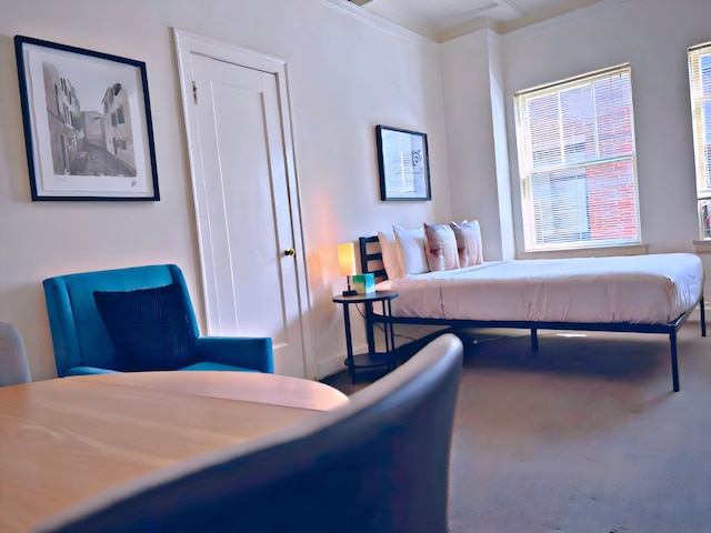 Vintage Studio in Gold Coast - SP 1205