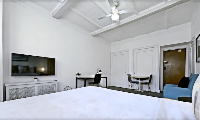 Vintage Studio in Gold Coast - SP 1205