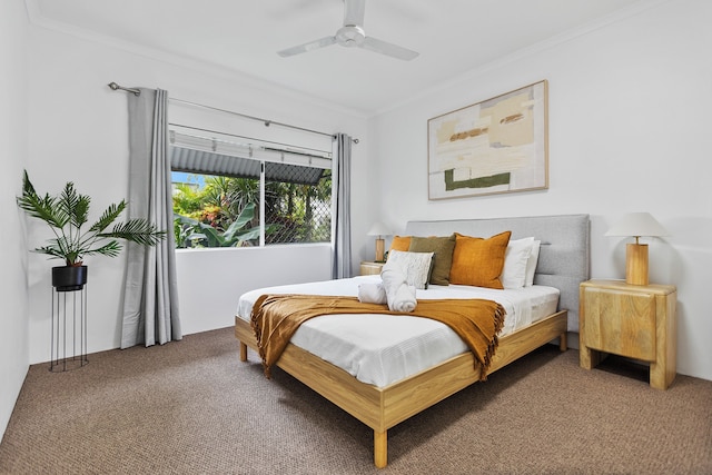 Cairns Tropical Bliss Swim In - Out Apt