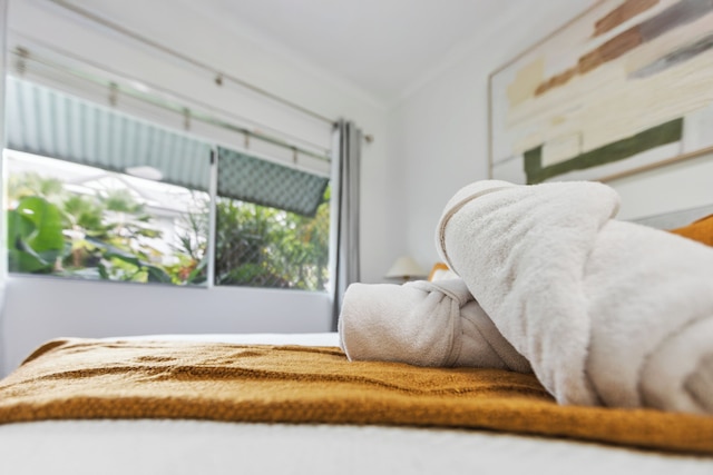 Cairns Tropical Bliss Swim In - Out Apt