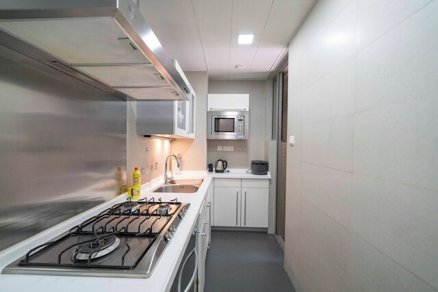 Tyms Modern 1BR 1BA Suite Xujiahui Metro