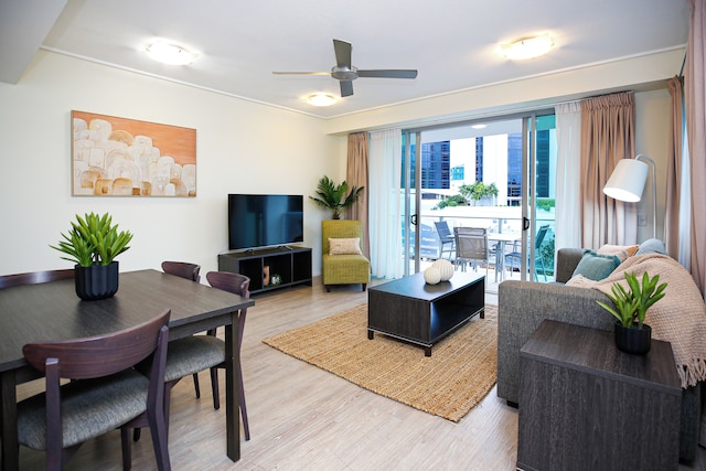 Apartment in the City with Pool and BBQ