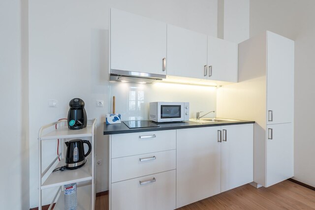 ゲストレディ - クレリゴス ヴィルトゥデス アパートメンツ