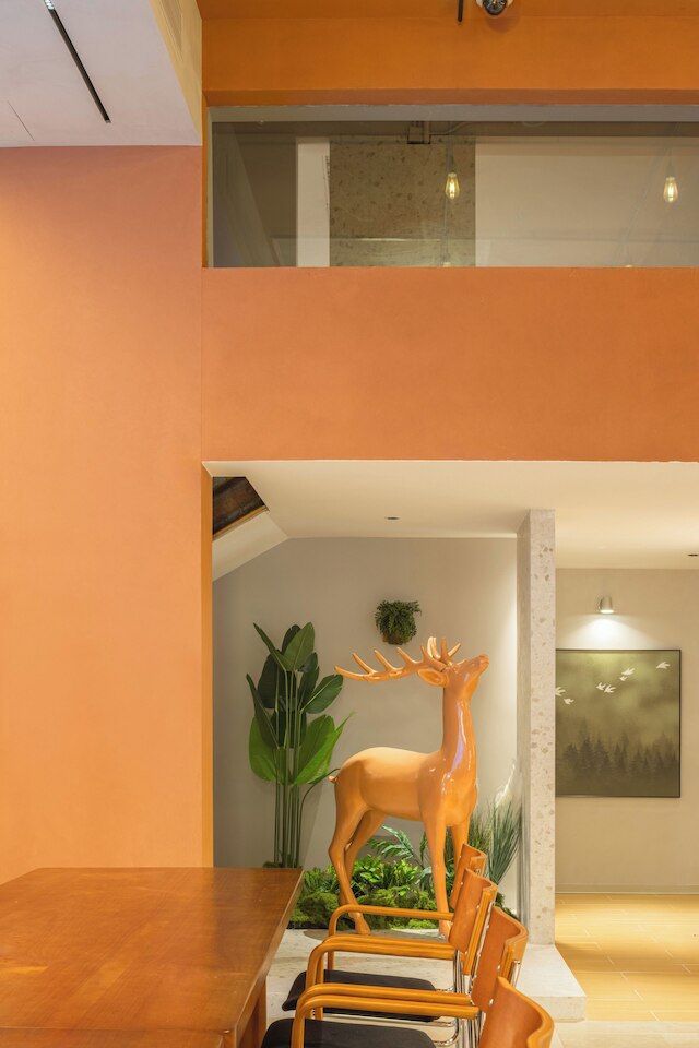 Captain No. 5 Youth Hotel