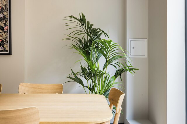 コベントガーデン アパートメンツ