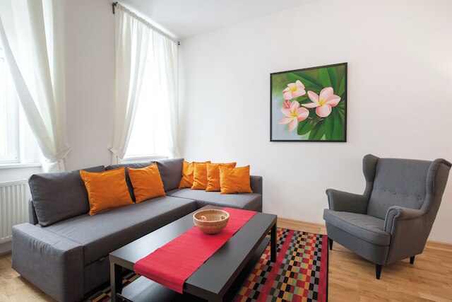 Apartment Theresiengasse Check in 15h to 22h Only