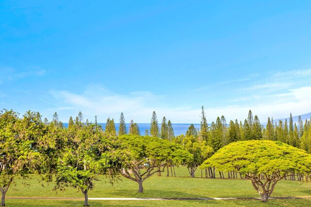 NEW 2 Free Cars Kapalua Golf Villas 18t4/19p3