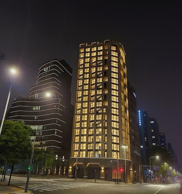 Caelum Black Gangnam Luxury Apt