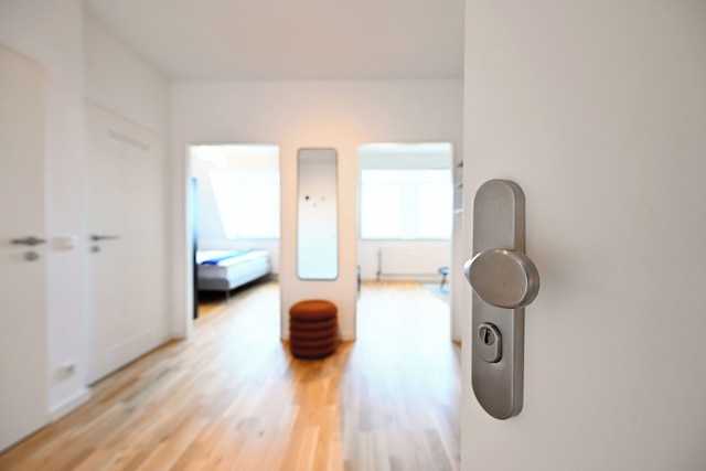 ローゼンガルテン アパートメント