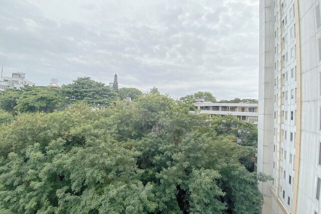 ピュア ネスト スタジオ アット キャンディランド アパートメント