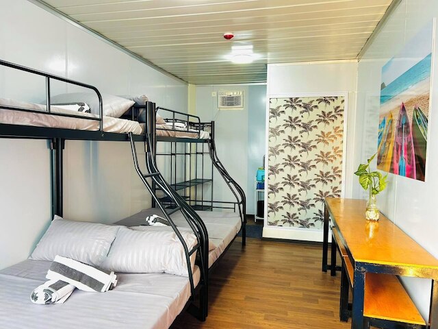 タンディカン スイーツ エル ニド