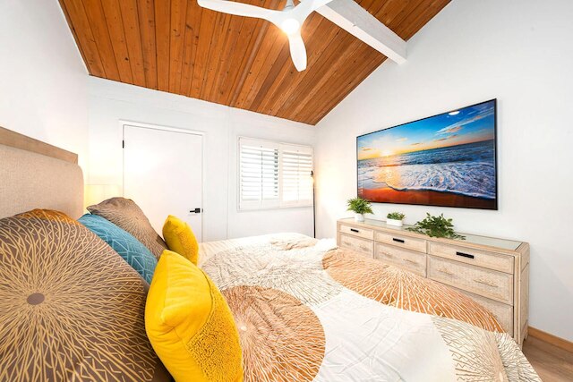 KBM リゾーツ 2 フリー カーズ ナピリ ポイント ナップ-c31/2