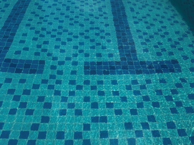 Levi & Moon Relax and Chill