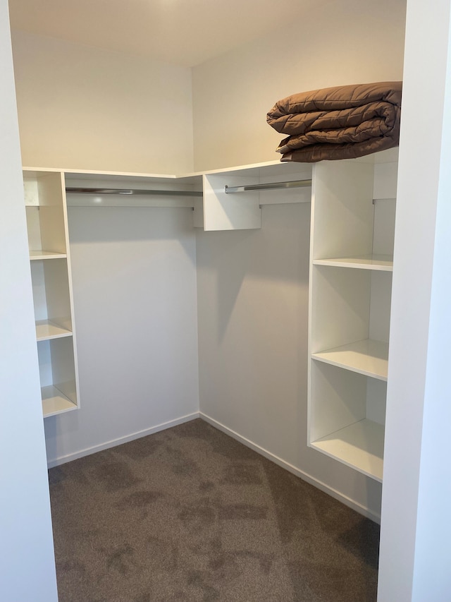 アーマー エグゼクティブ ステイズ