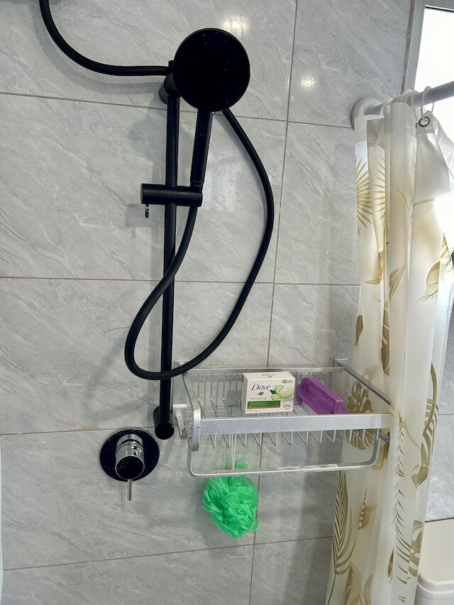 フェイロアキミシ