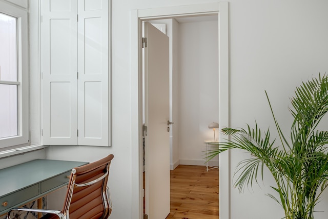 Bairro Alto Garden by Homing