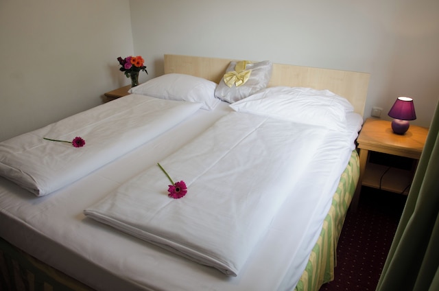 ホテル ローゼンホフ アム マイン