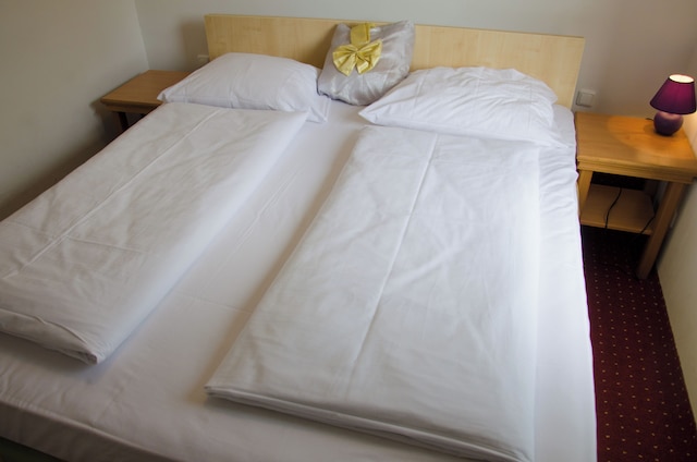 ホテル ローゼンホフ アム マイン