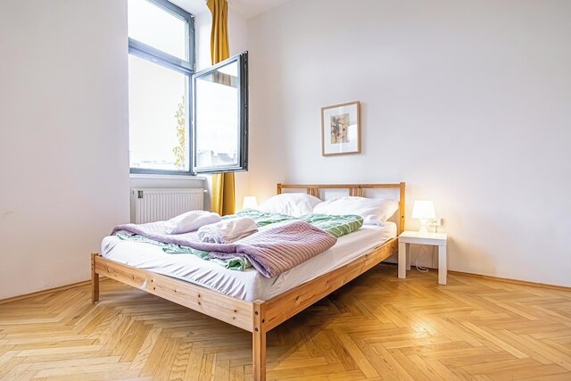 Lovely 4BR Apt with Garden near Danube