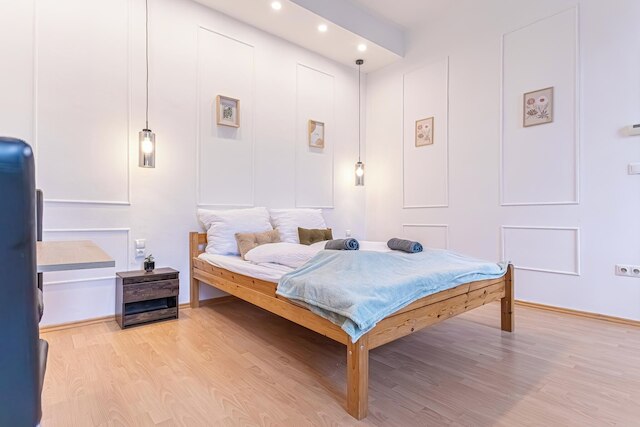 9BR Apts in the Heart of Vienna