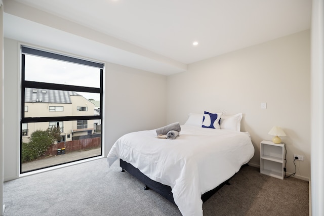 ブランド ニュー 3ベッドルーム ウィズ ガレージ イン セントラル CBD