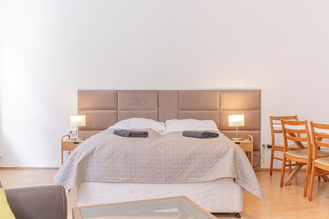 Charming 3BR Apt in Central Vienna