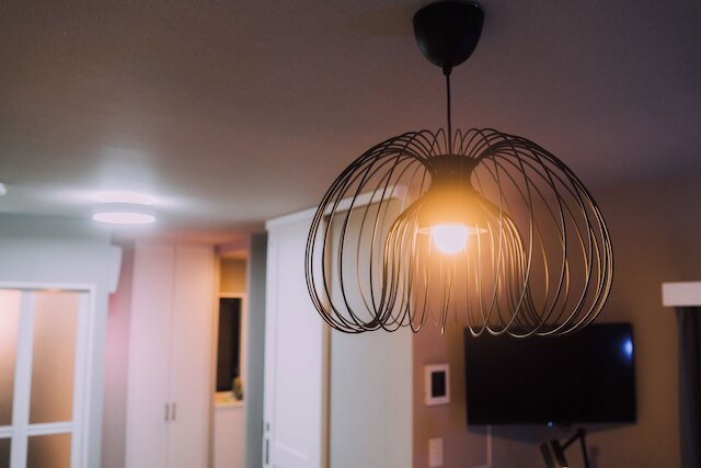 Shinjuku Neon Den 102