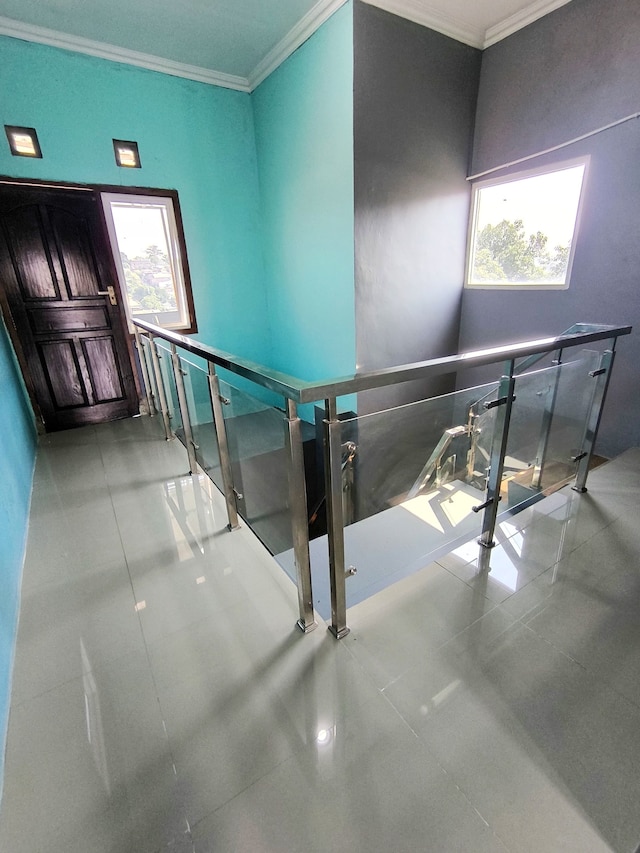 アラップ ステイイン