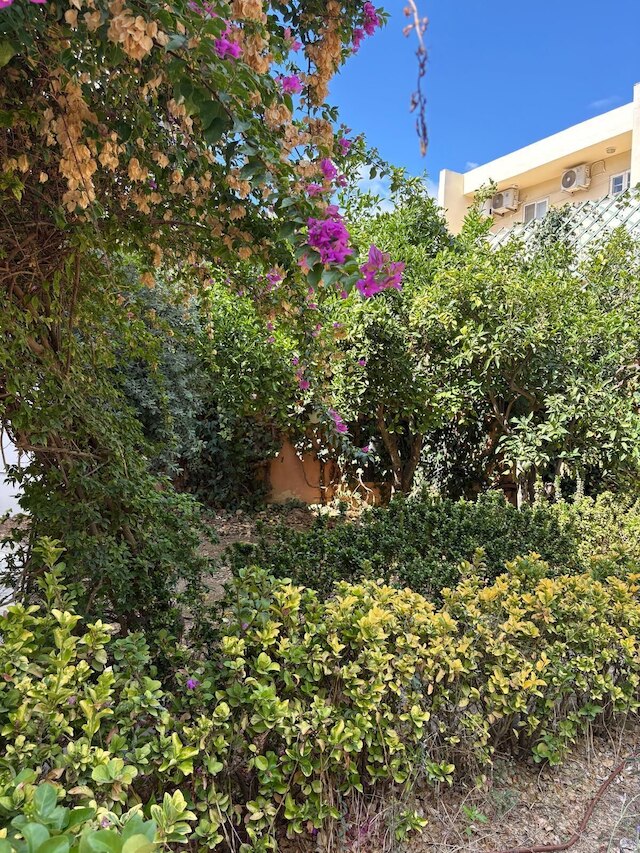 ウィンドミル ホステル