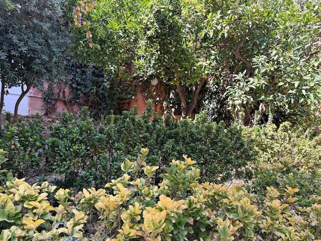 ウィンドミル ホステル