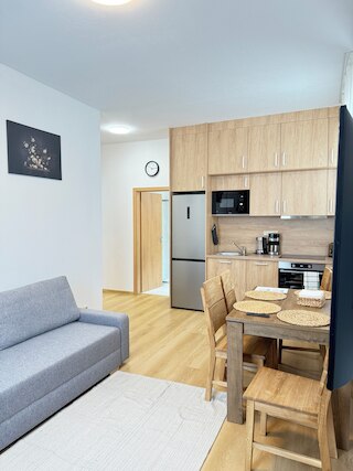 Riverside Apartment Prague