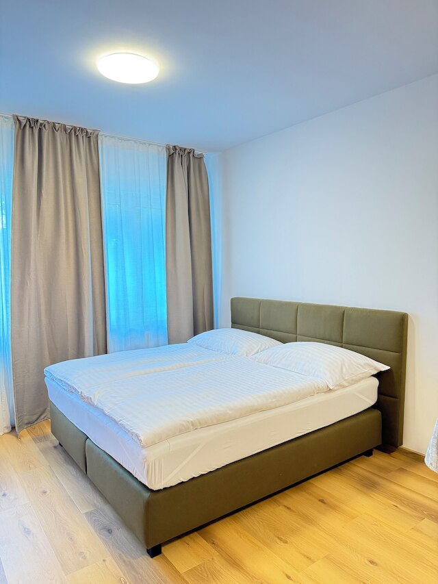 リバーサイド アパートメント プラハ