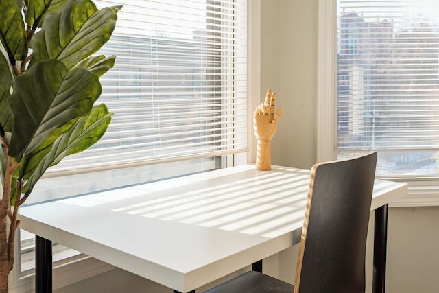 1BR Apt in Lincoln Park - Lincoln 3E