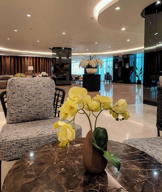 ショア 2 レミニス